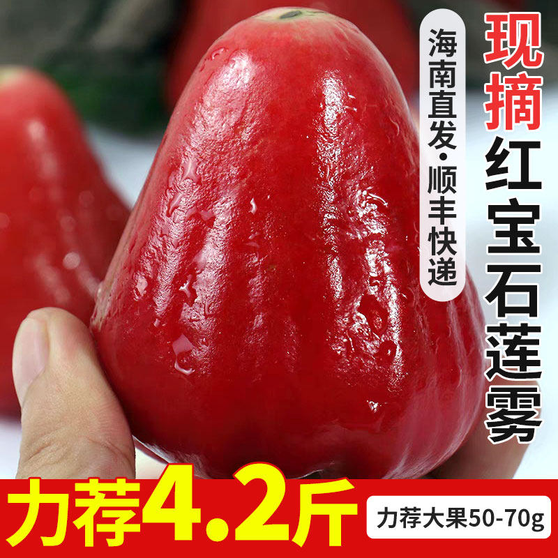 顺丰快递红宝石莲雾新鲜海南直发