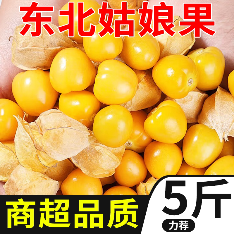 顺丰东北姑娘果新鲜菇娘果