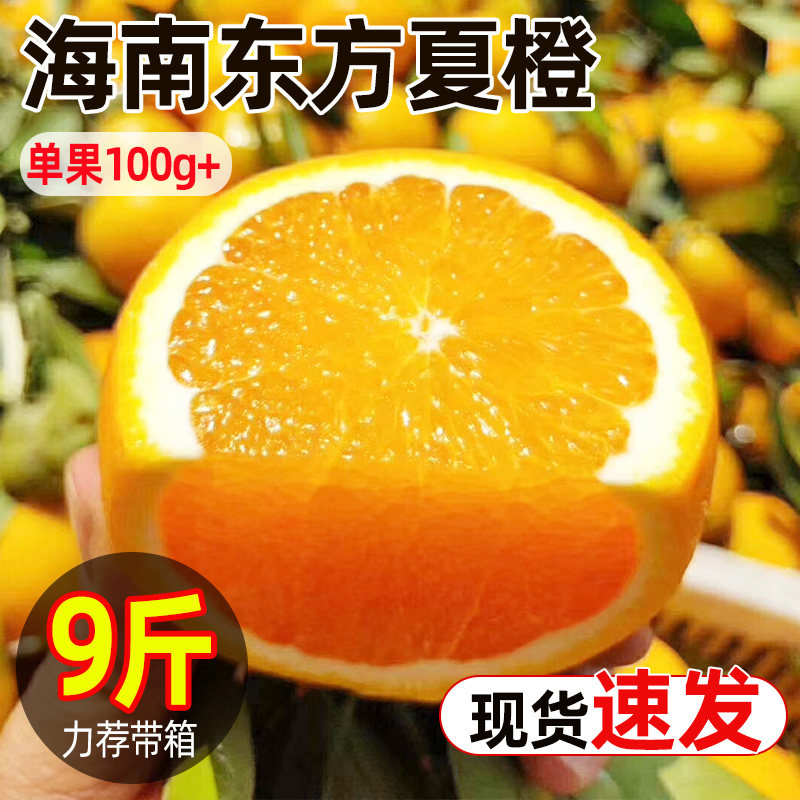 正宗海南东方夏橙新鲜时令水果
