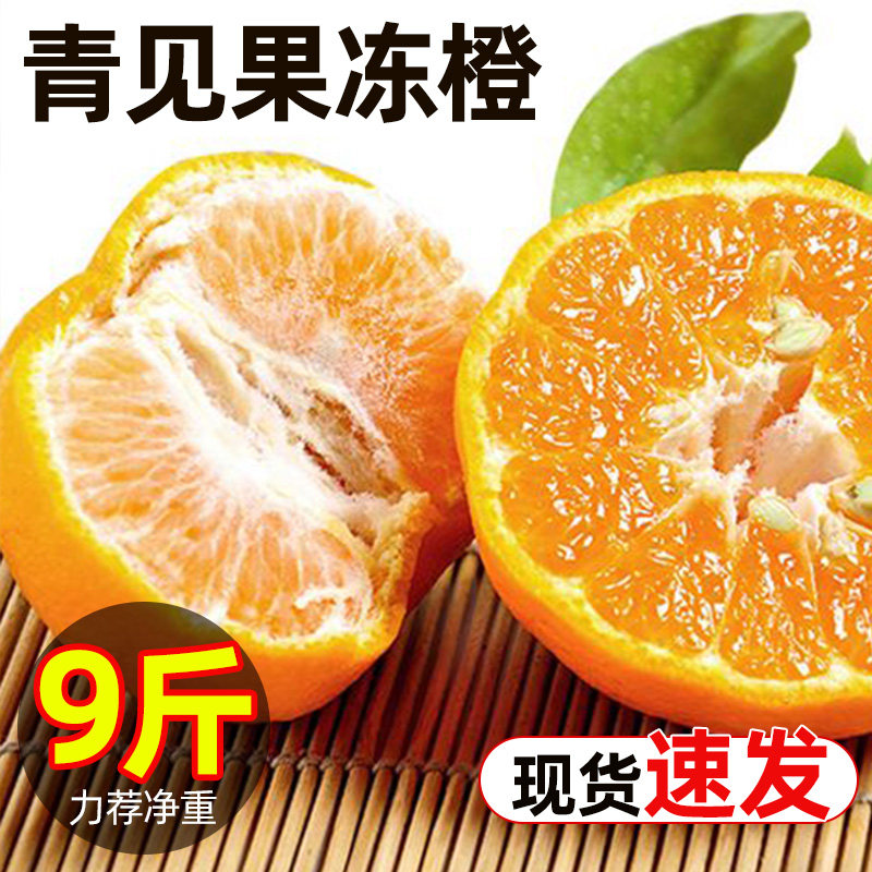 四川青见果冻橙原产地应当季新鲜时令水果多汁美味产地现摘整箱发