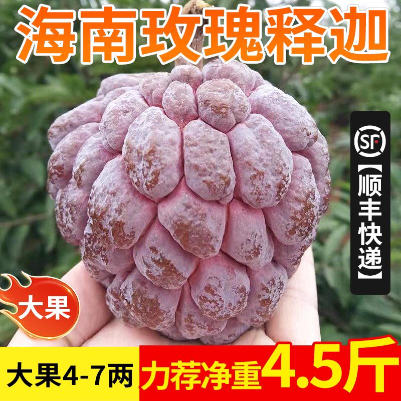 顺丰海南玫瑰释迦果高端精品释迦