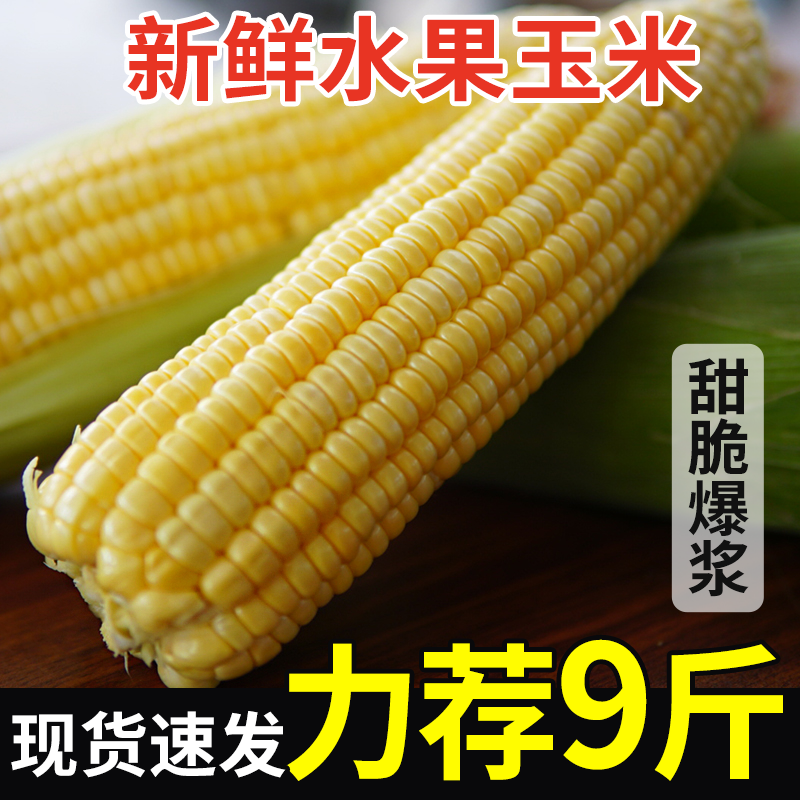 新鲜带壳水果甜玉米应当季新鲜蔬菜带壳甜多汁原产地现采摘速发,水产肉类/新鲜蔬果/熟食,新鲜玉米,淘宝优惠券,粉丝福利购,淘宝优惠卷