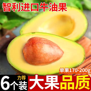 智利牛油果进口应当季新鲜水果现货速发整软糯丝滑大果辅食6个