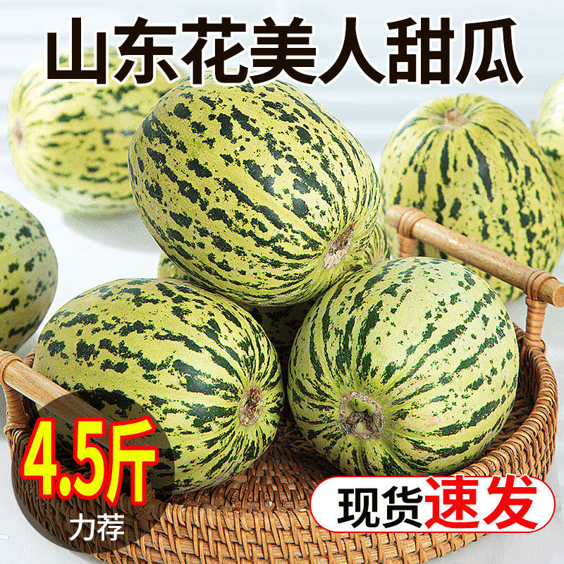 山东花美人甜瓜原产地应当季时令新鲜水果多汁现摘整箱现摘速发出