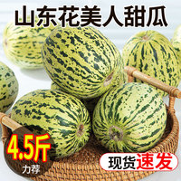 山东花美人甜瓜原产地应当季时令新鲜水果多汁现摘整箱现摘速发出