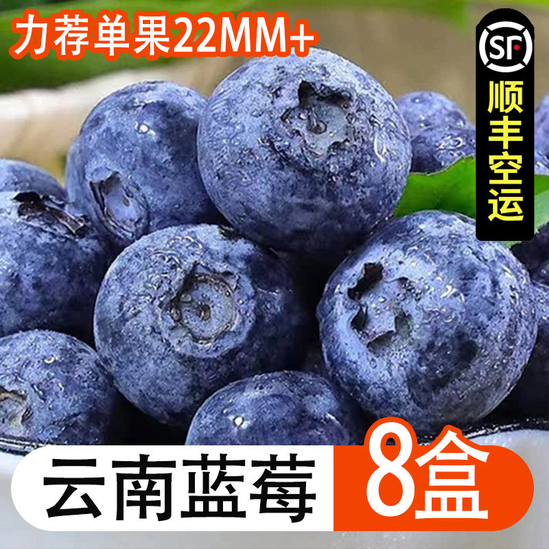 云南蓝莓新鲜水果顺丰空运速发