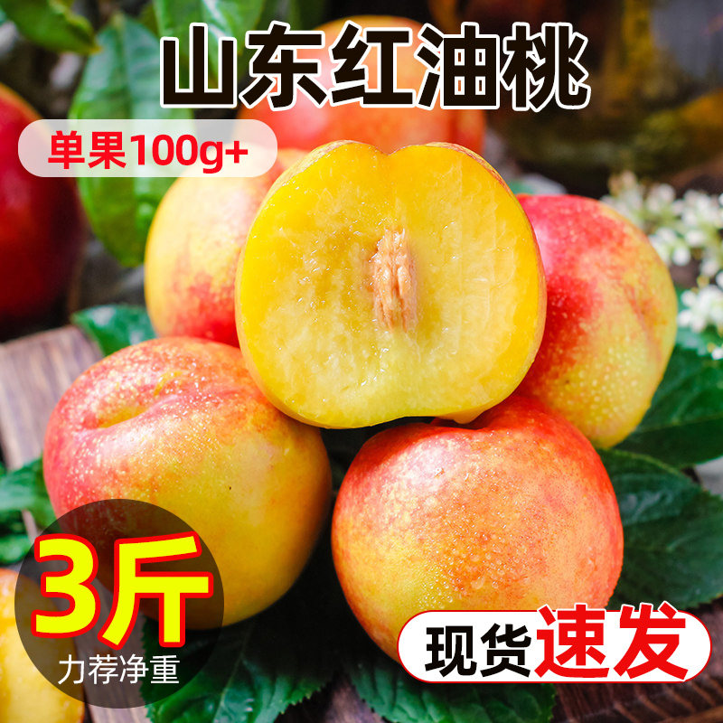 山东红油桃园地现摘速发
