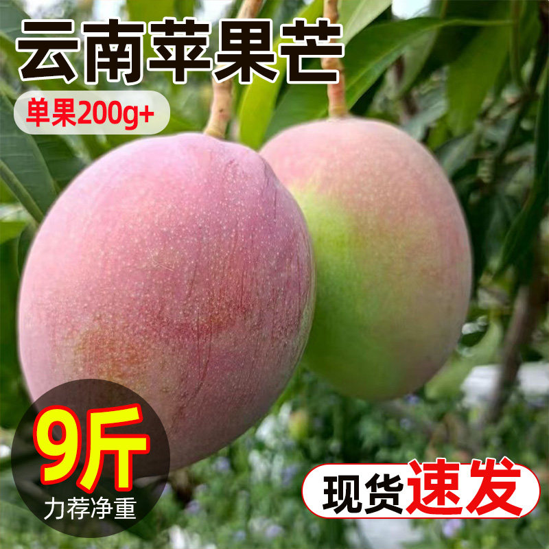 云南苹果芒应当季原产地新鲜水果