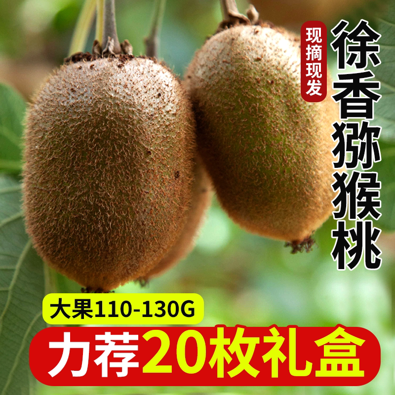 正宗徐香猕猴桃俏鲜莎新鲜水果