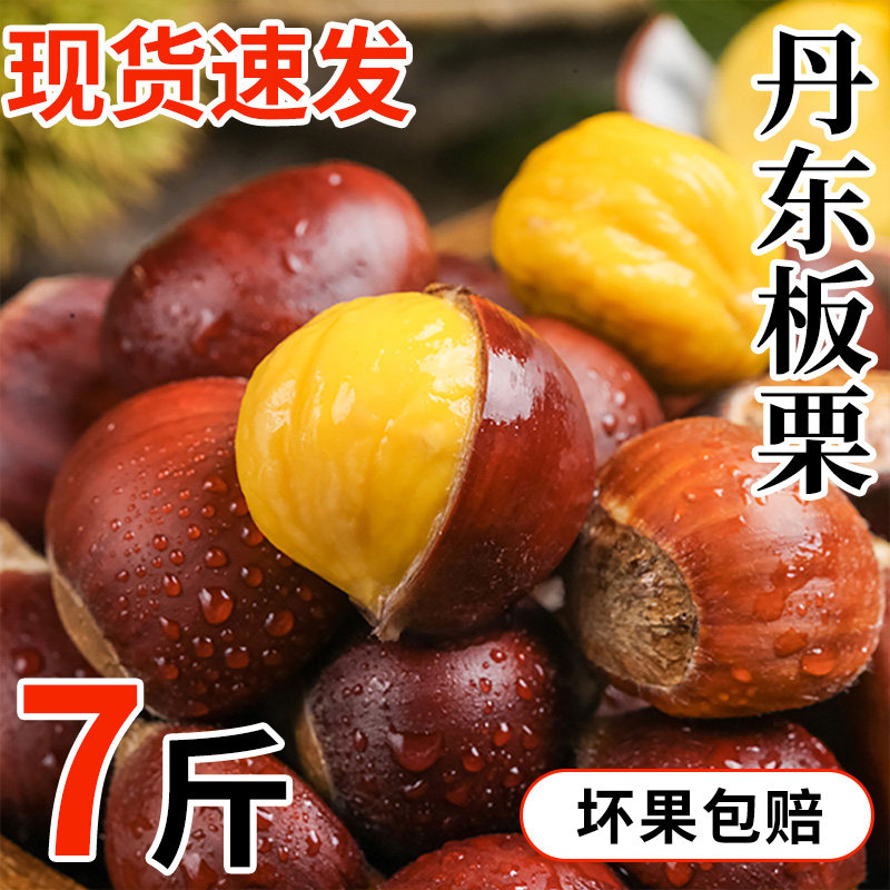 丹东板栗带壳生栗子新鲜粉甜应当季现货速发油栗板栗多规格锥蔬菜