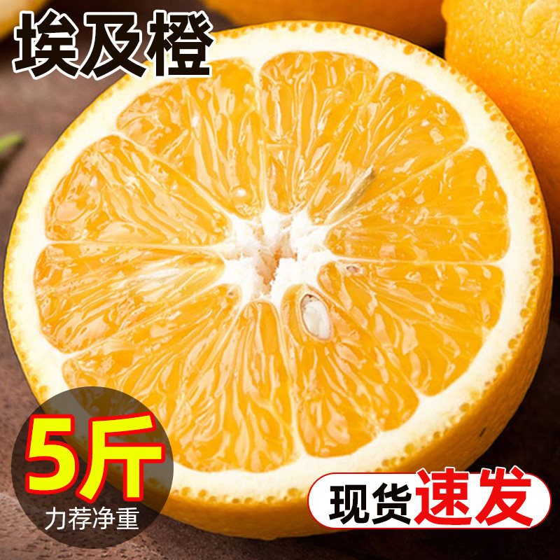 进口现货埃及橙新鲜水果