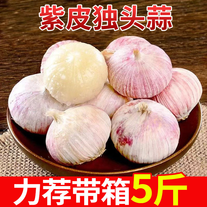 辽宁紫皮独头蒜当季新鲜农家自种