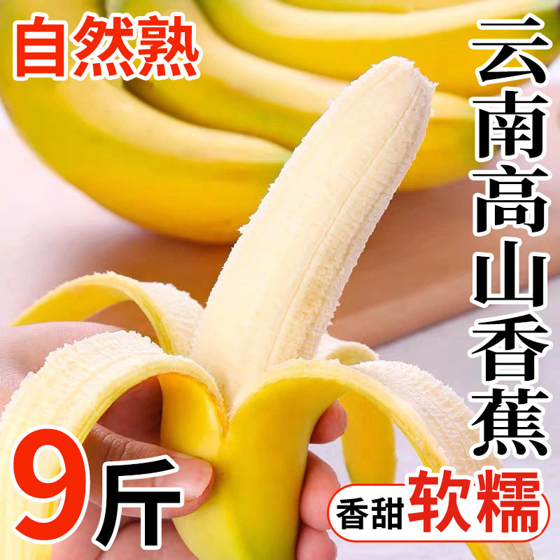 俏鲜莎新鲜当季孕妇香蕉