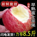 正宗山东早熟红富士苹果新鲜水果应当季 整箱栖霞脆甜丑果子糖心发