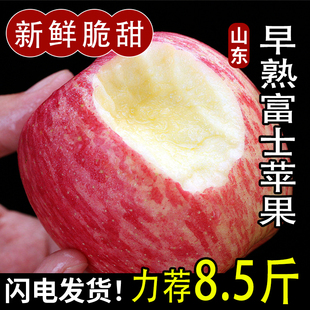 正宗山东早熟红富士苹果新鲜水果应当季整箱栖霞脆甜丑果子糖心发