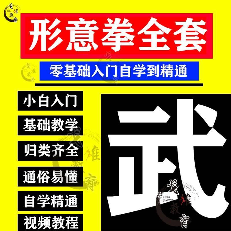 形意拳视频教程名师教学讲解内家拳功夫站桩拳法内功套路武术实用 办公设备/耗材/相关服务 刻录盘个性化服务 原图主图