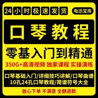 口琴自学视频教程教学教材零基础到精通10孔24孔布鲁斯半音阶口琴