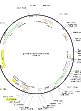 pSIH1-Control-shRNA-Puro