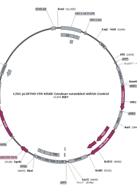 L201 pLVPTH2-tTR-KRAB-Cerulean-scrambled-shRNA-Control