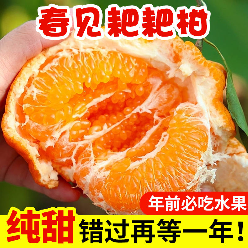 四川特级春见耙耙柑粑粑柑10斤橘子当季丑柑整箱新鲜孕妇水果年货,水产肉类/新鲜蔬果/熟食,桔子,淘宝优惠券,粉丝福利购,淘宝优惠卷