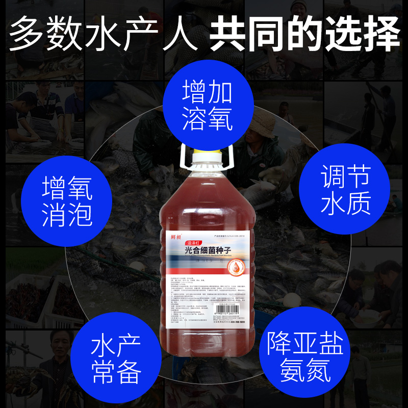 光合细菌菌种培养基母液调水质ph值降氨氮稳定水色淡W水海水产养