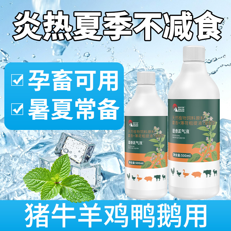 南华千牧藿香正气液兽用藿香正气猪牛羊鸡鸭鹅养殖降温解暑口服液
