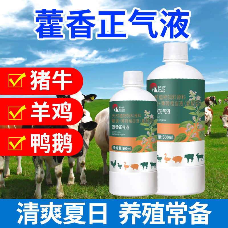 南华千牧藿香正气液兽用藿香正气猪牛羊鸡鸭鹅养殖降温解暑口服液