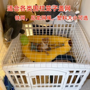 宠物围栏防逃网铁网塑料网大尺寸防猫狗越狱隔离网狗笼封顶
