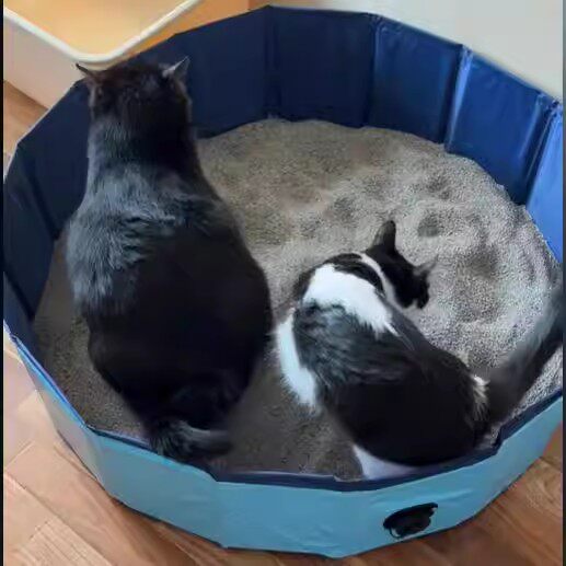 过年旅游猫砂盆折叠防水宠物狗洗澡盆跑猫砂盆出远门留守猫厕所