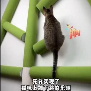 免打孔猫抓柱猫爬架猫爬树通天树自粘猫爬贴柱壁式猫爬架贴墙跳台