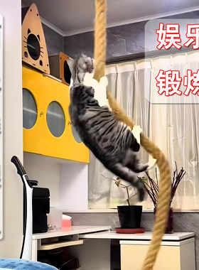 加粗耐磨猫爬绳四季猫爬架猫攀爬树猫磨爪猫麻绳树猫咪用品猫玩具