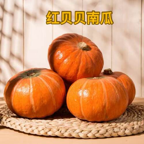 红贝贝南瓜宝宝辅食甜糯产地直发