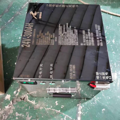 猛将磷酸铁锂锂电池宁德时代电芯24V300AH足300安24伏户外逆变器