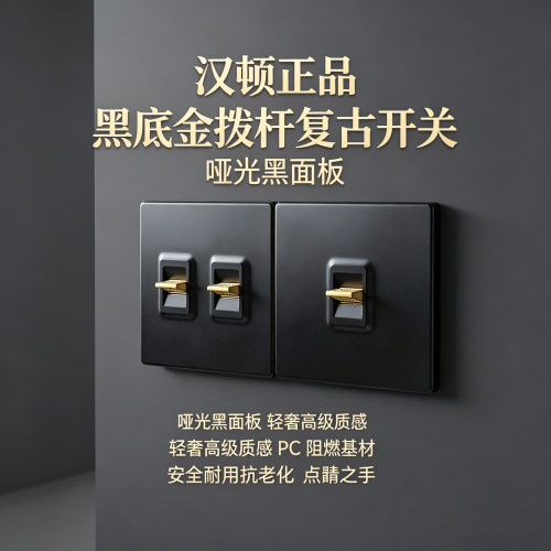 QE黑色拨杆开关工业创意插座86型双极PC材质五孔简约双联一开五孔