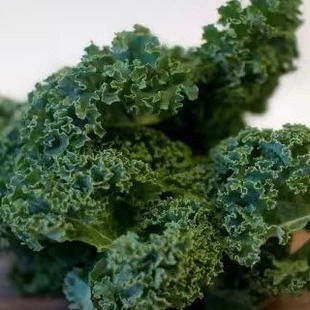 广东顺丰包邮  食用甘蓝 榨汁 沙拉轻食 羽衣甘蓝 绿叶野芥兰250g