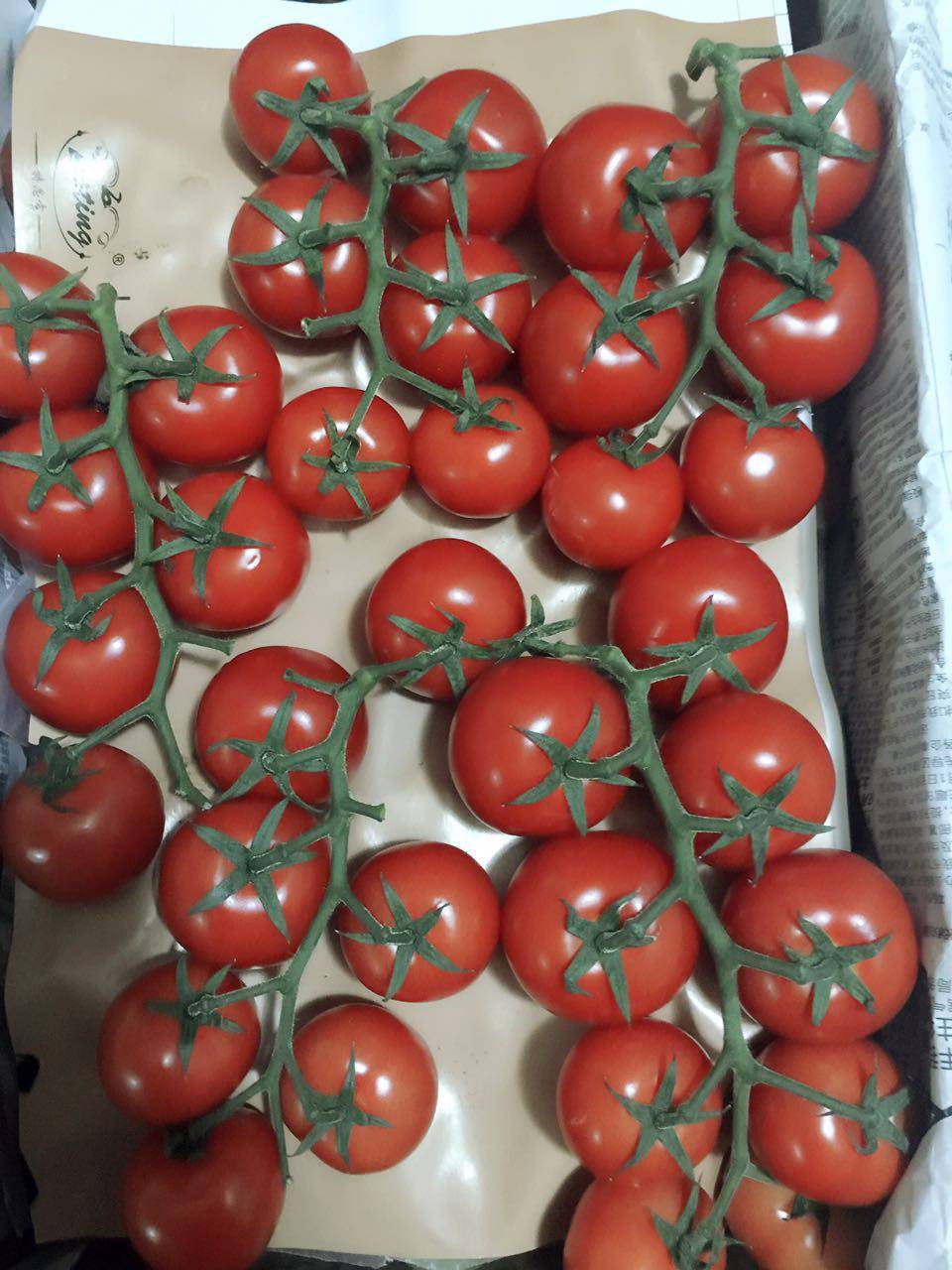 带枝小番茄  新鲜串茄  食用  摆盘水果拼盘 500g