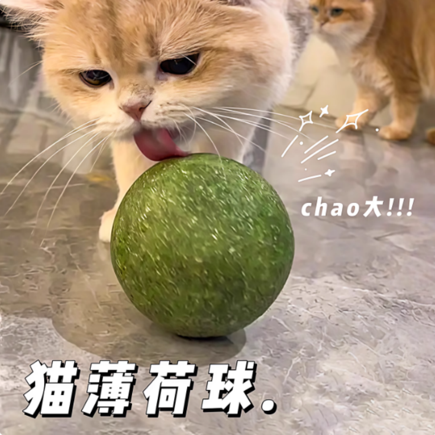 猫薄荷球超大猫玩具自嗨解闷神器磨牙猫草球逗猫棒猫咪用品木天蓼