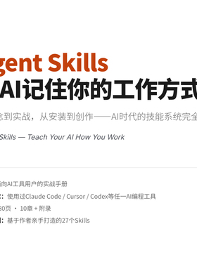Agent Skills 让AI记住你的工作方式