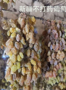 新疆不打药葡萄干孕妇儿童葡萄干