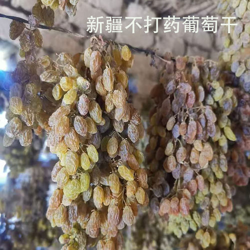 新疆不打药葡萄干孕妇儿童葡萄干