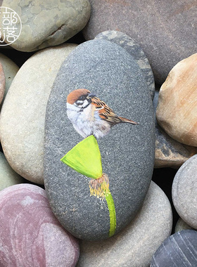 石趣部落石头摆件写实桌面纯手绘