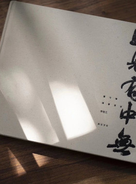 《照见有中无》文人空间十周年特刊意与境摄影漫谈李牧之以相机为笔光影为墨照片成画十年创作心得分享一本摄影书填补东方美学空白