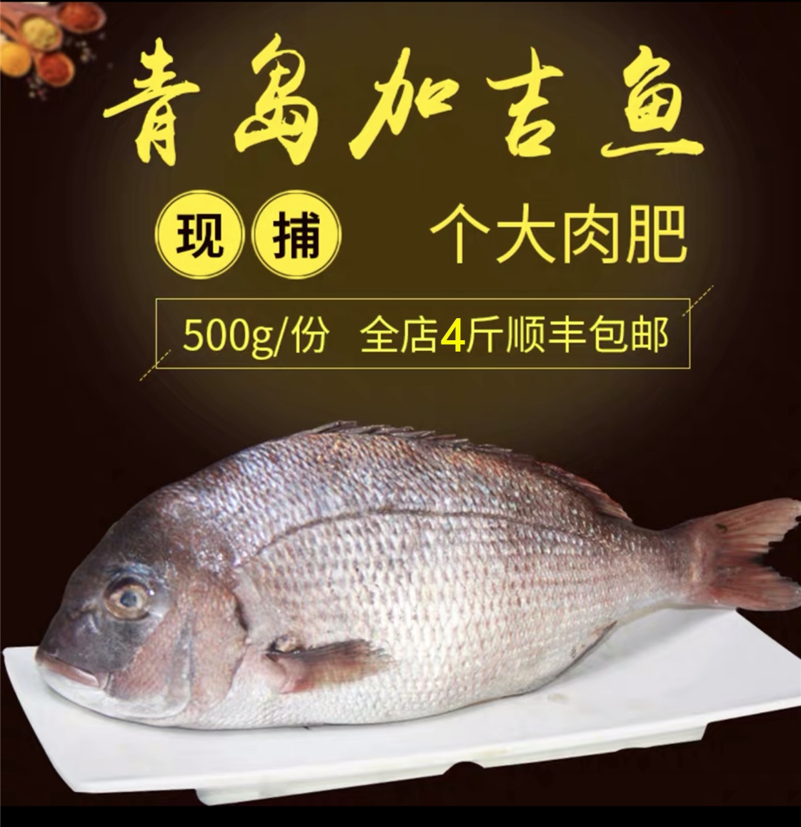 青岛野生深海鱼赤鯮鱼加吉鱼海鲜水产新鲜活真鲷红鲷鱼铜盆鱼 海鲜日志旗舰店 青岛野生深海鱼赤鯮鱼加吉鱼海鲜水产新鲜活真鲷红鲷鱼铜盆鱼 海鲜日志旗舰店