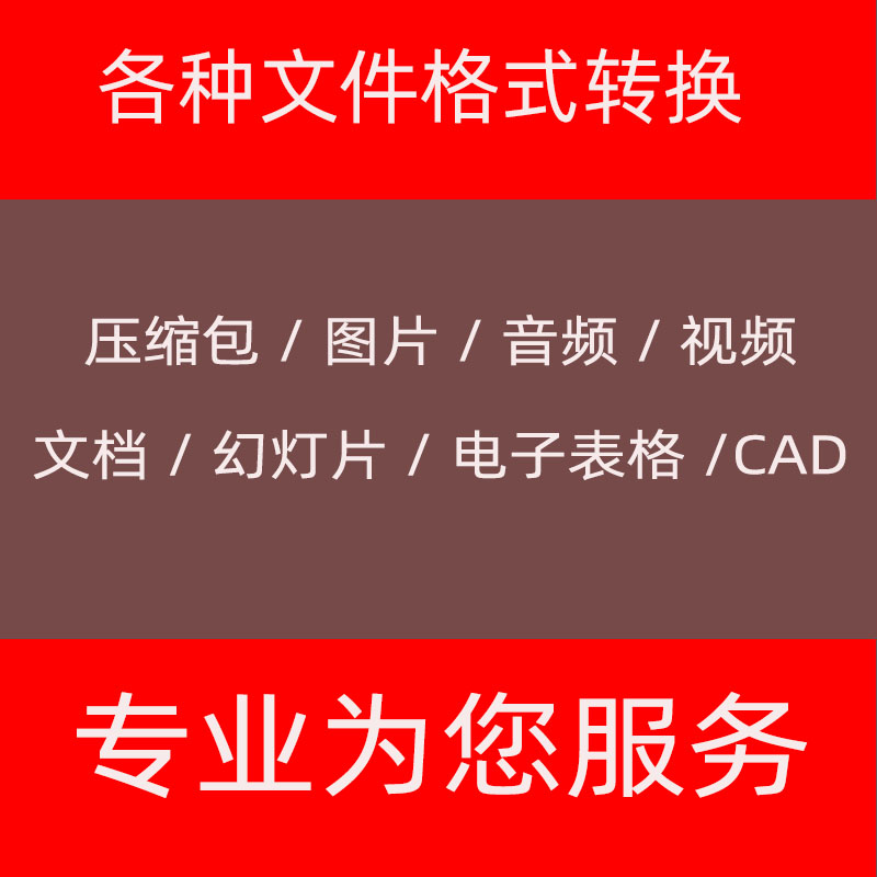 录入处理音视频格式图片wps转换ppt服务dwg图纸pdf文件exb文档