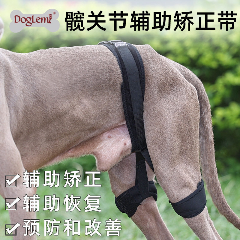 宠物狗狗后腿关节护带腿部护具恢复矫正带狗狗髋关节疾病辅助绑带