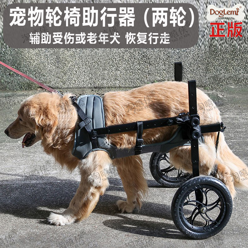 宠物轮椅助力大型犬金毛行走代步