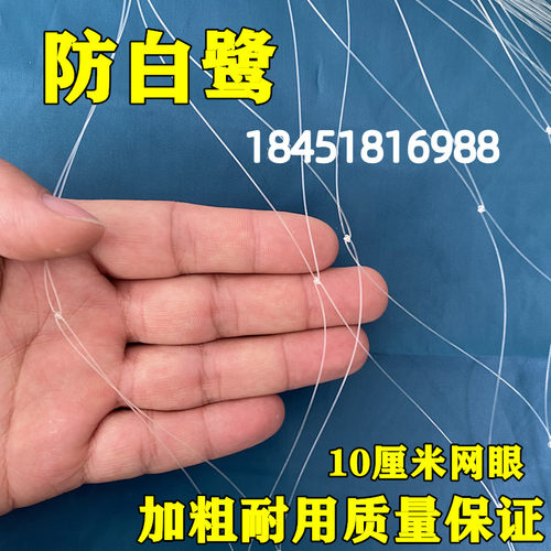 鱼塘防鸟用网青蛙养殖场防白鹭10公分网眼防鸟天网鱼塘天网防护网