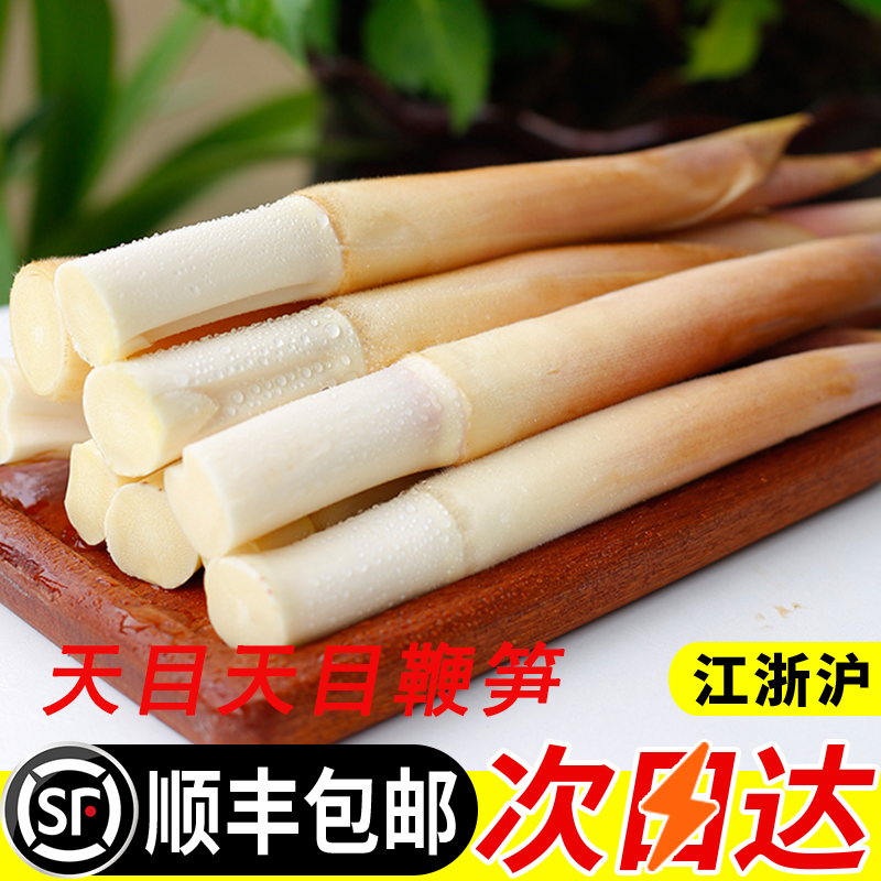 顺丰包邮临安天目鞭笋新鲜现挖