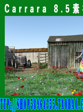 Carrara 8.5 模型Carrara 8.5 素材集(3M-289)