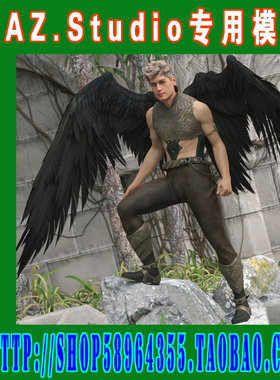 daz3d studio模型素材Genesis3与Genesis8通用翅膀三则(3M-224)